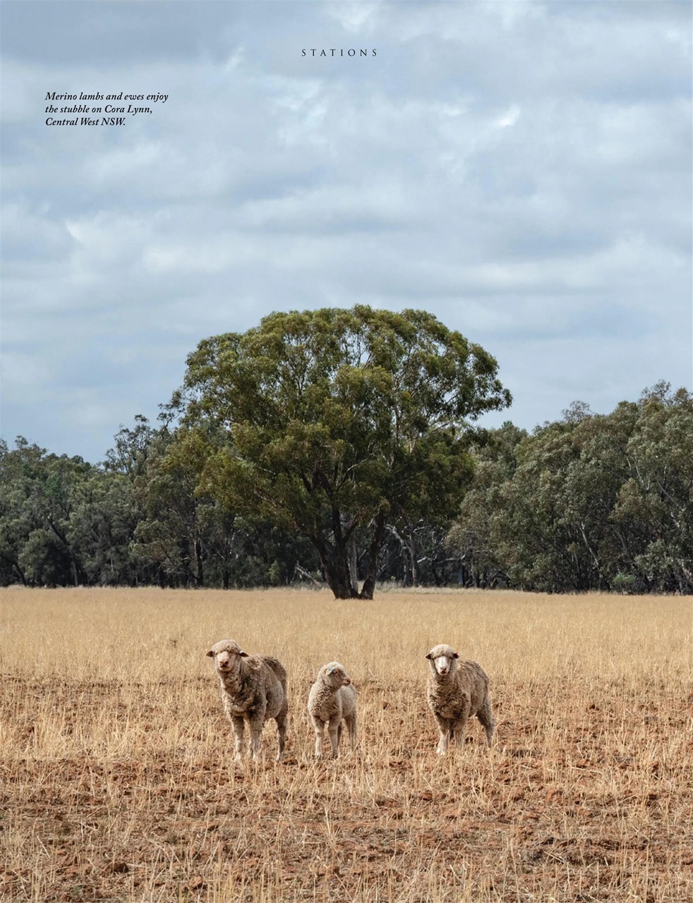 OUTBACK Magazine Preview Pages