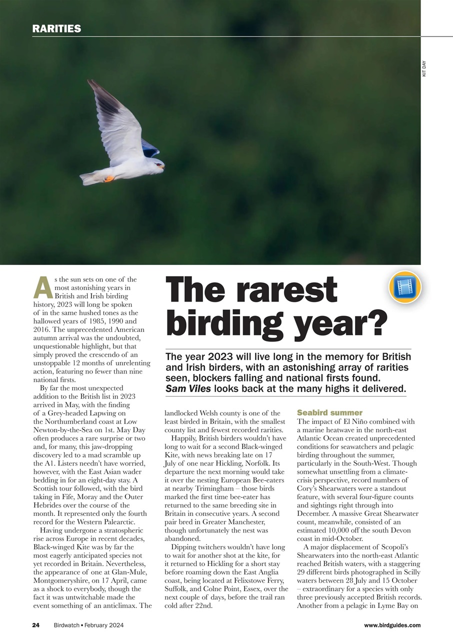 Birdwatch Magazine Preview Pages