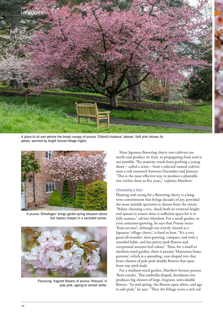 LandScape Preview Pages