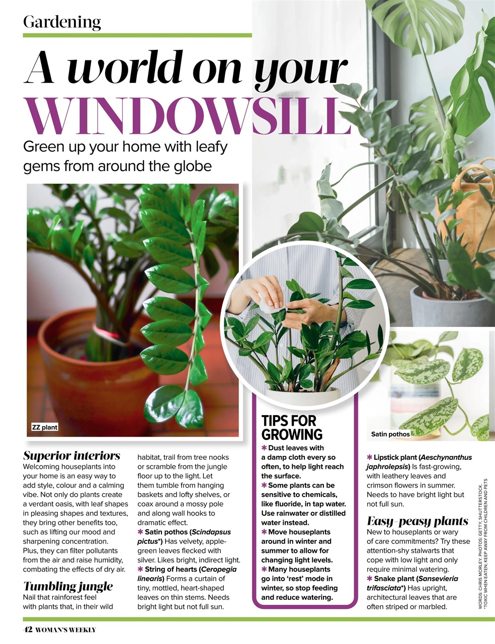 Woman's Weekly Preview Pages