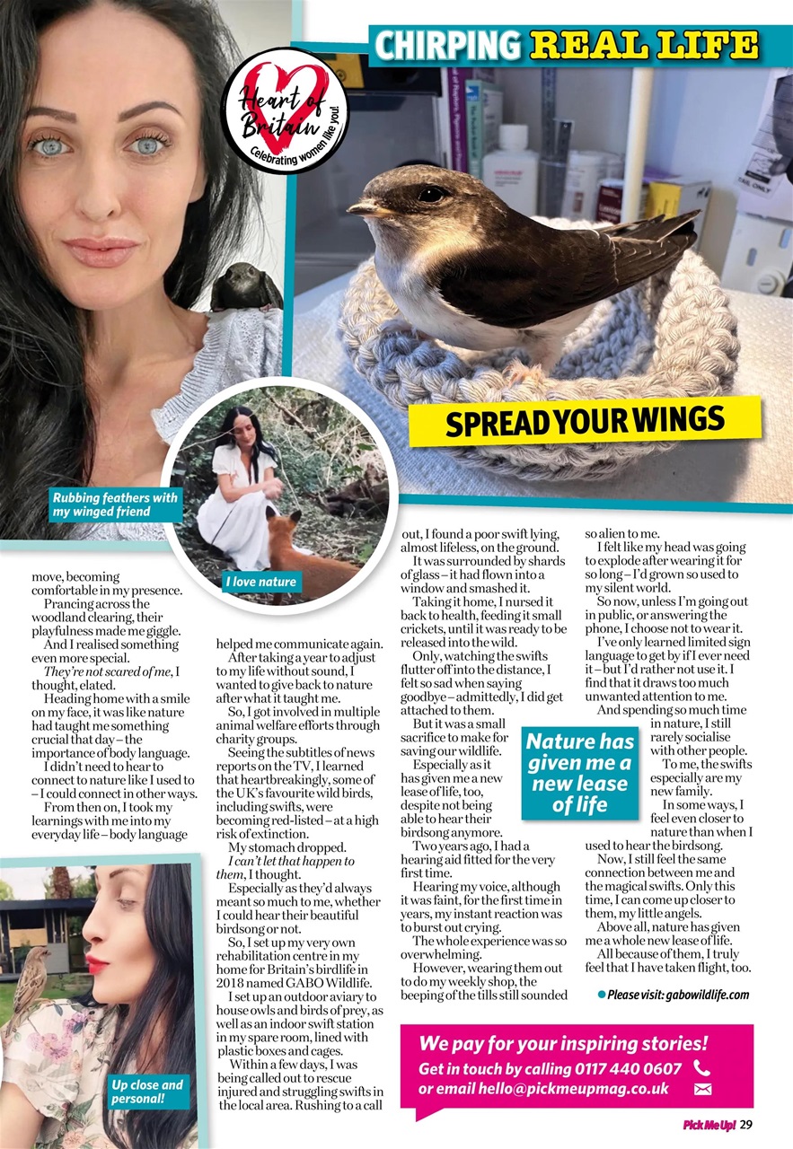 Pick Me Up Preview Pages