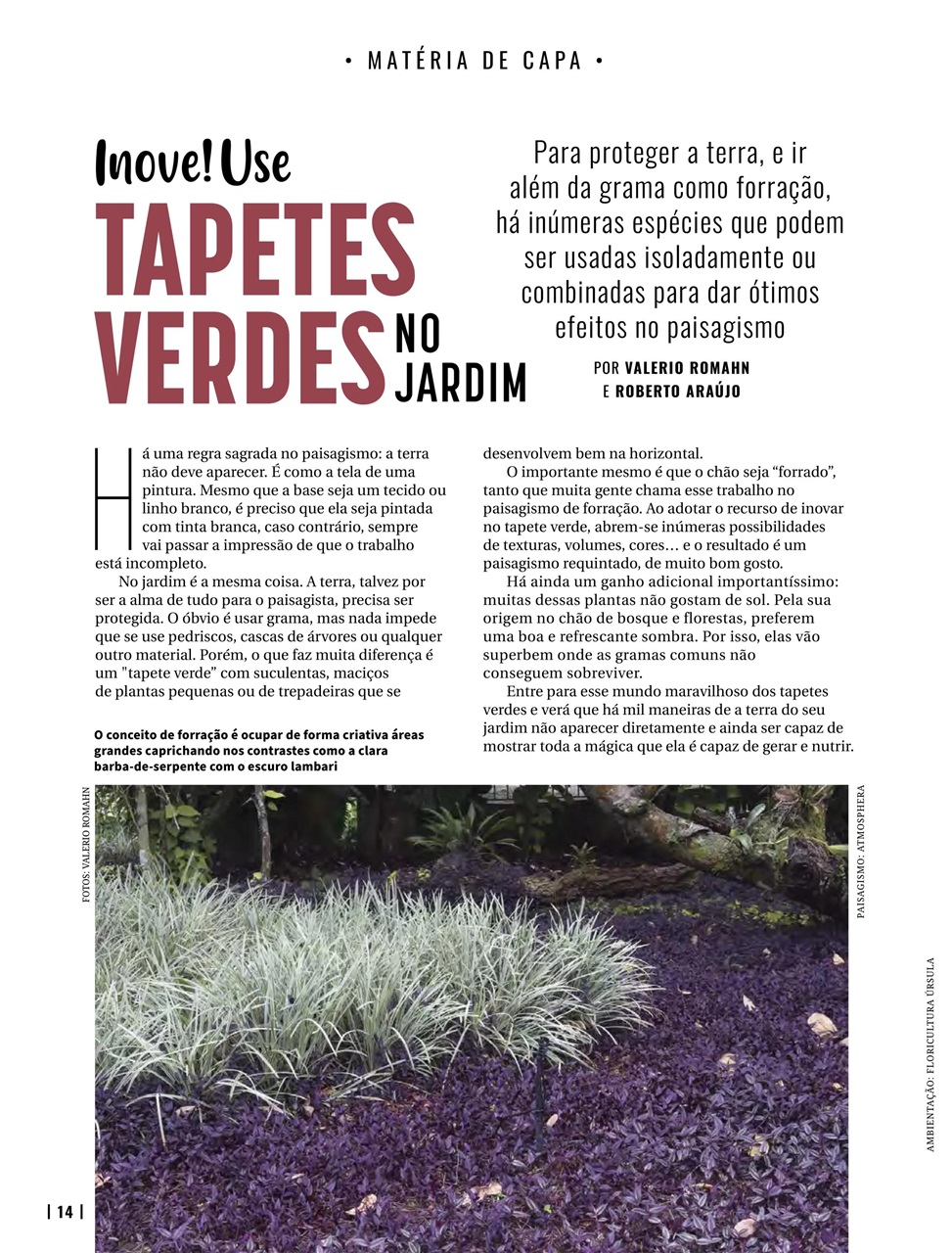 Natureza Preview Pages