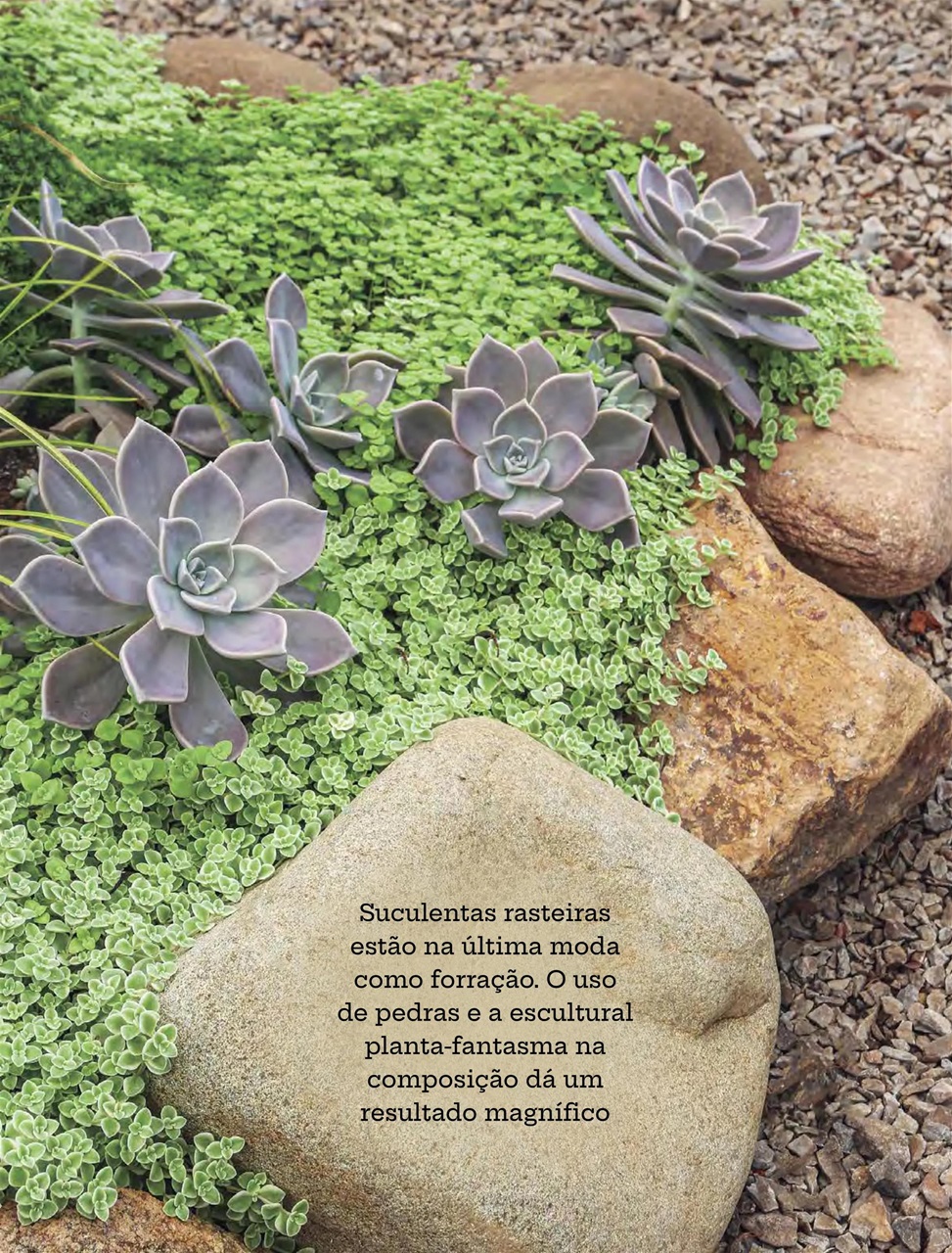Natureza Preview Pages