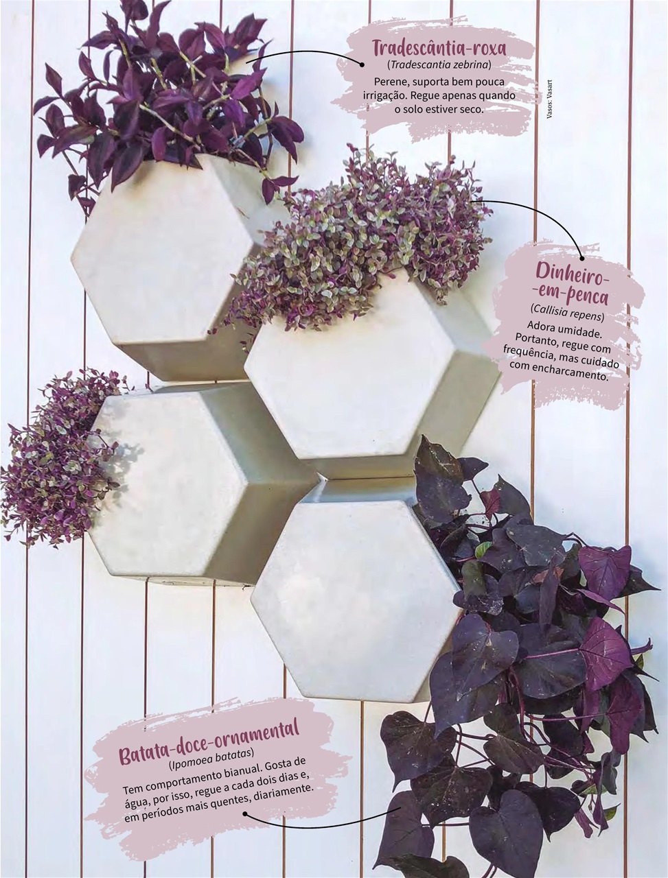 Natureza Preview Pages