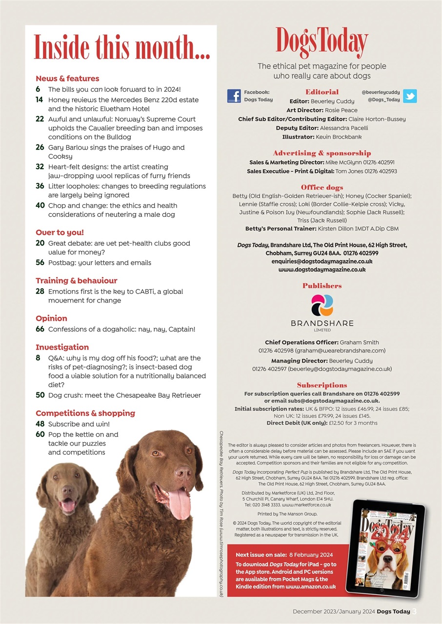 Dogs Today Magazine Preview Pages