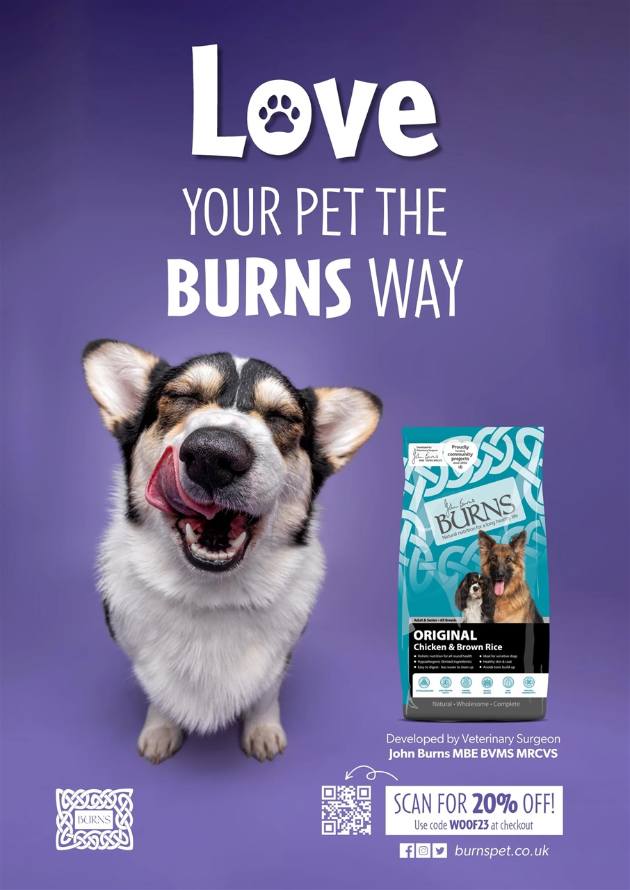 Dogs Today Magazine Preview Pages