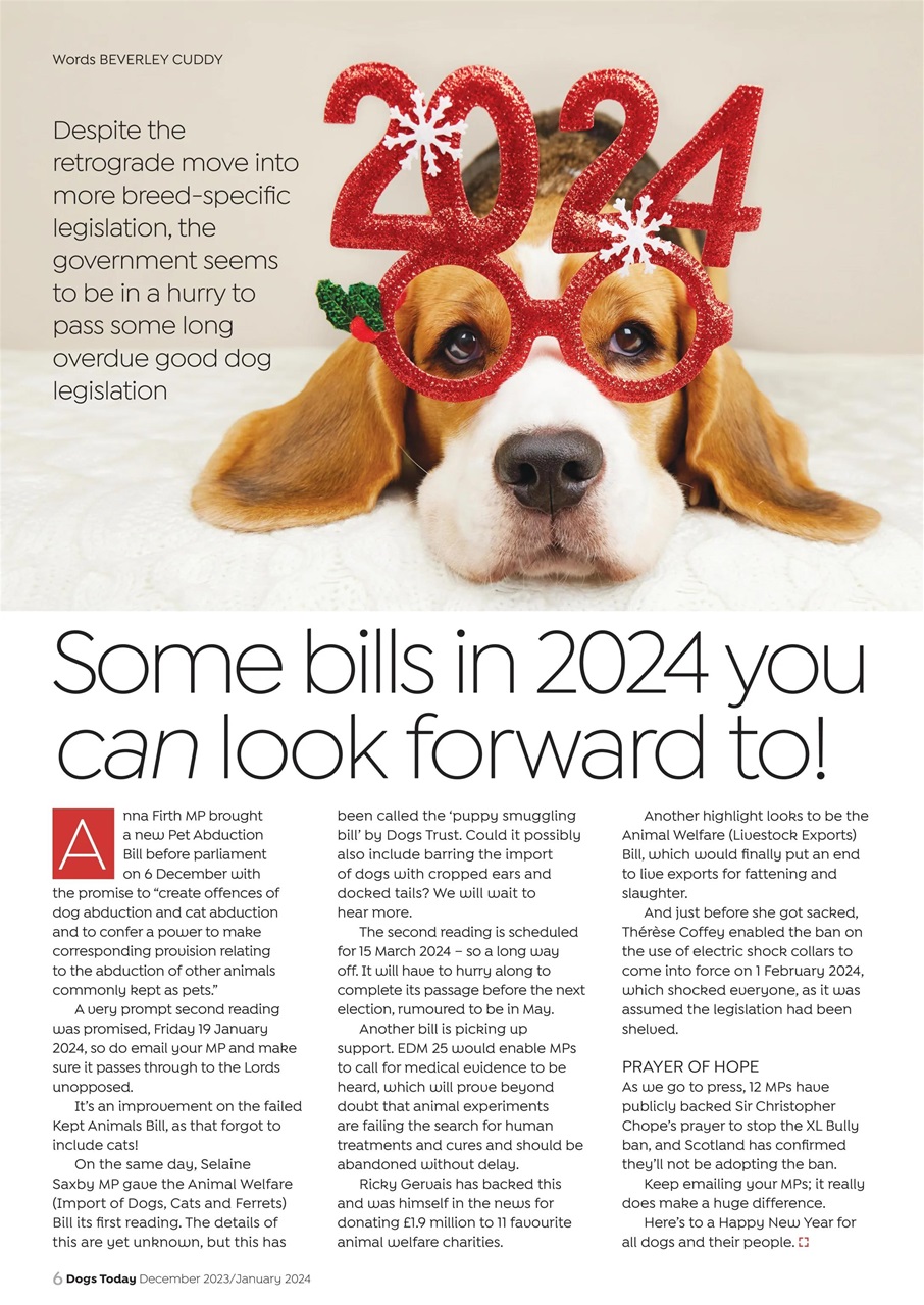 Dogs Today Magazine Preview Pages