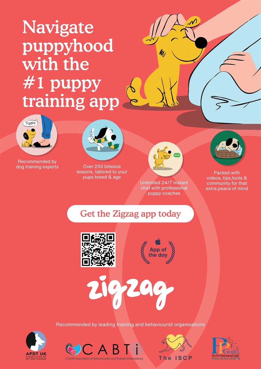 Dogs Today Magazine Preview Pages
