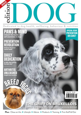 Edition Dog 64 issue Edition Dog 64