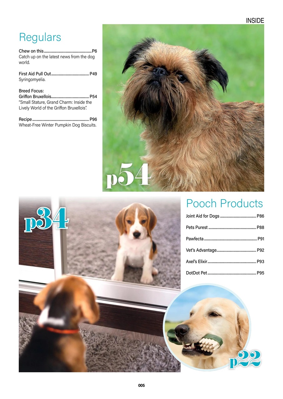 Edition Dog Preview Pages
