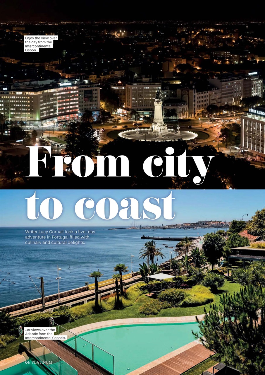 Platinum Preview Pages