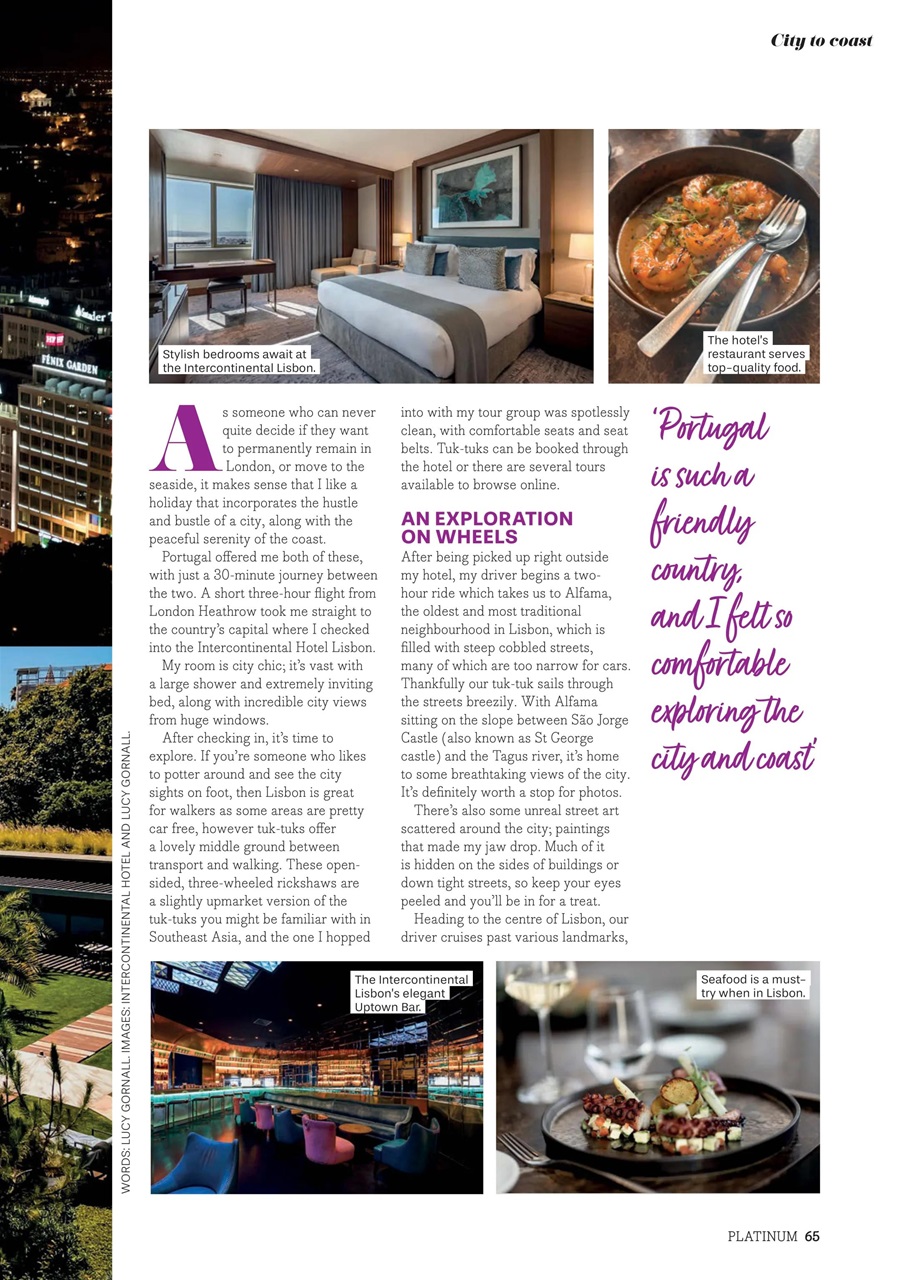 Platinum Preview Pages