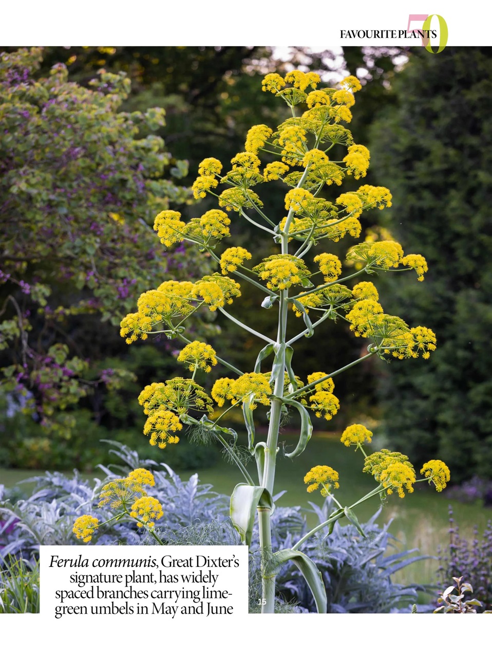 Gardens Illustrated Preview Pages