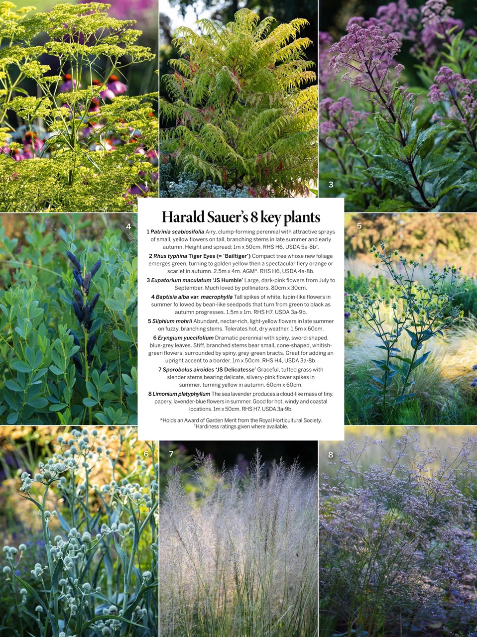Gardens Illustrated Preview Pages