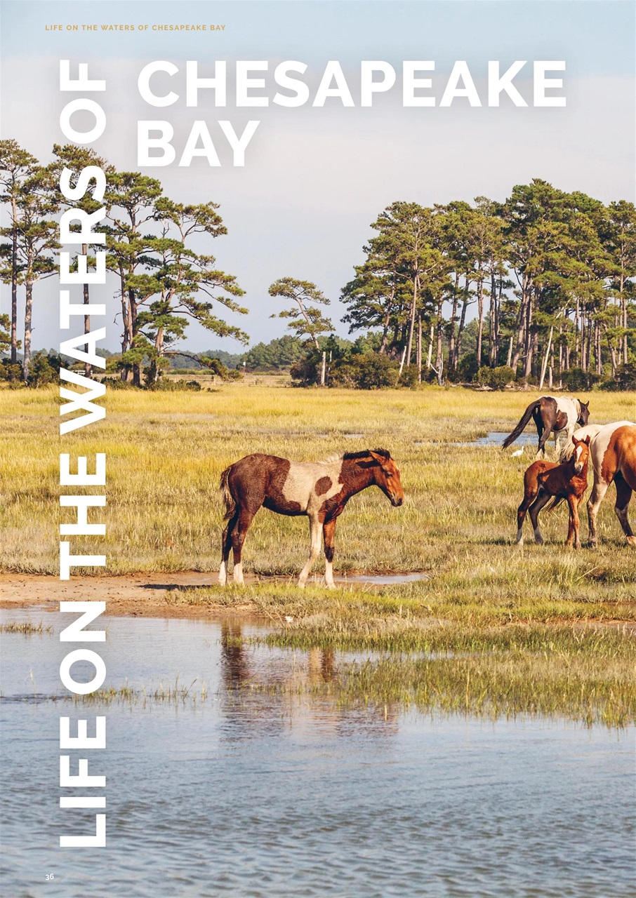 JRNY Travel Magazine Preview Pages