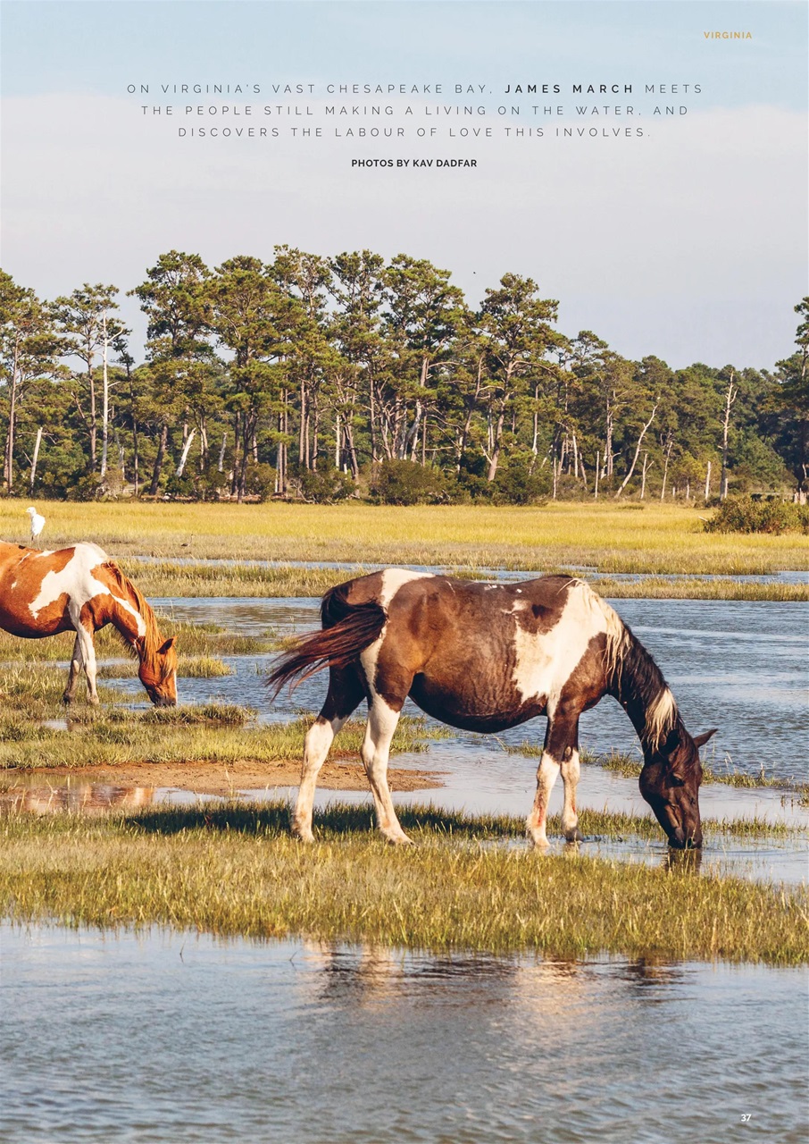 JRNY Travel Magazine Preview Pages