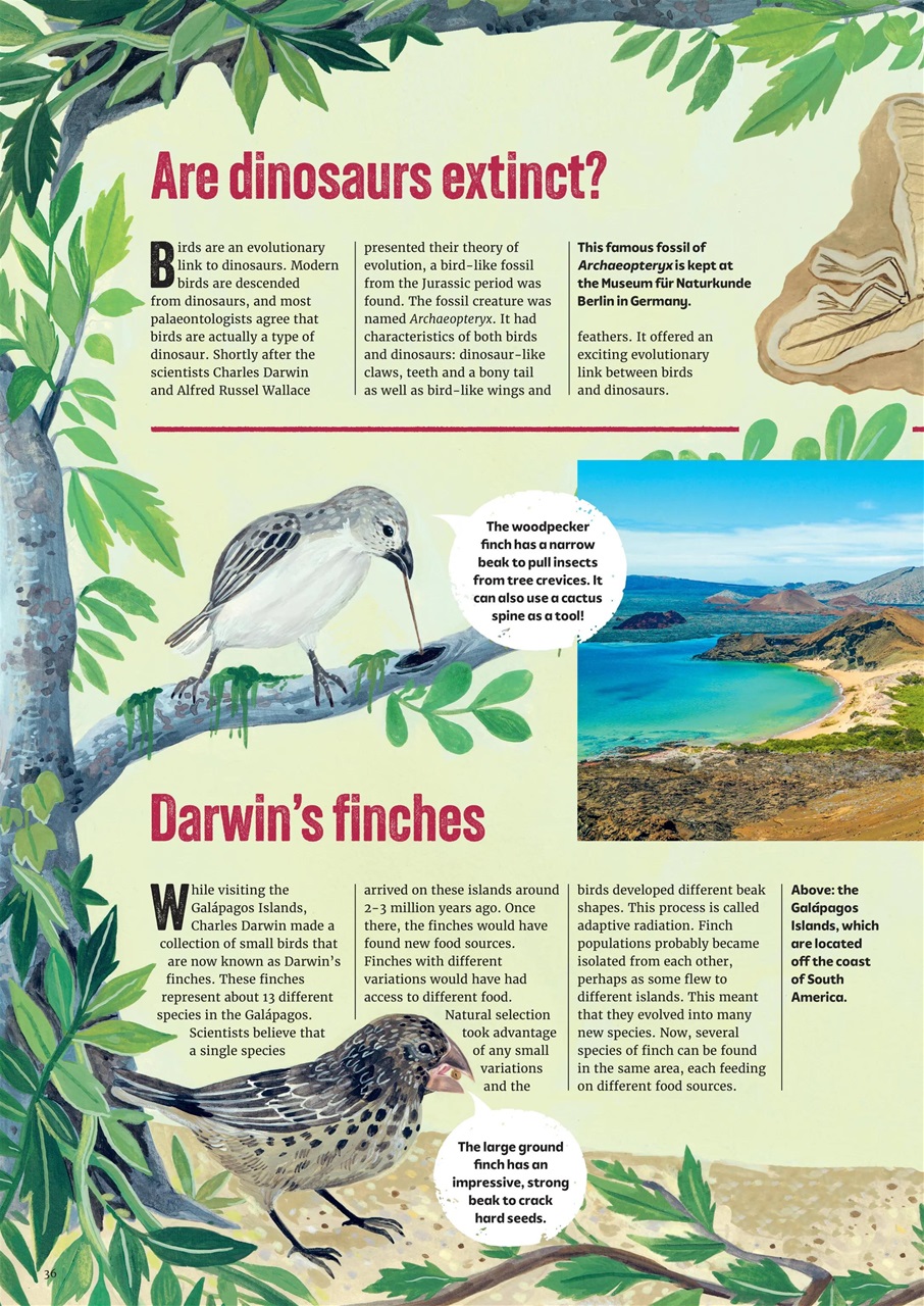 What on Earth! Magazine Preview Pages
