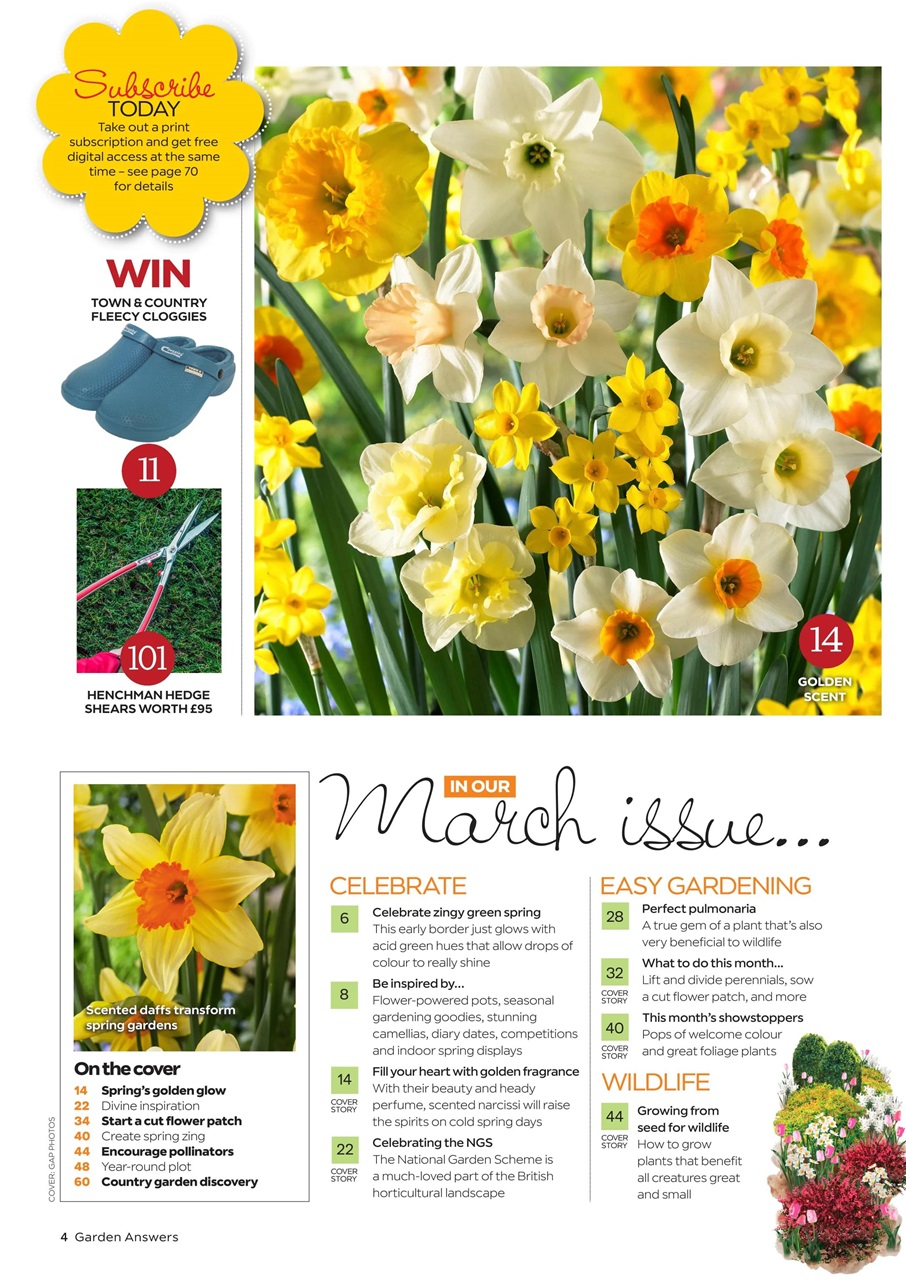 Garden Answers Preview Pages