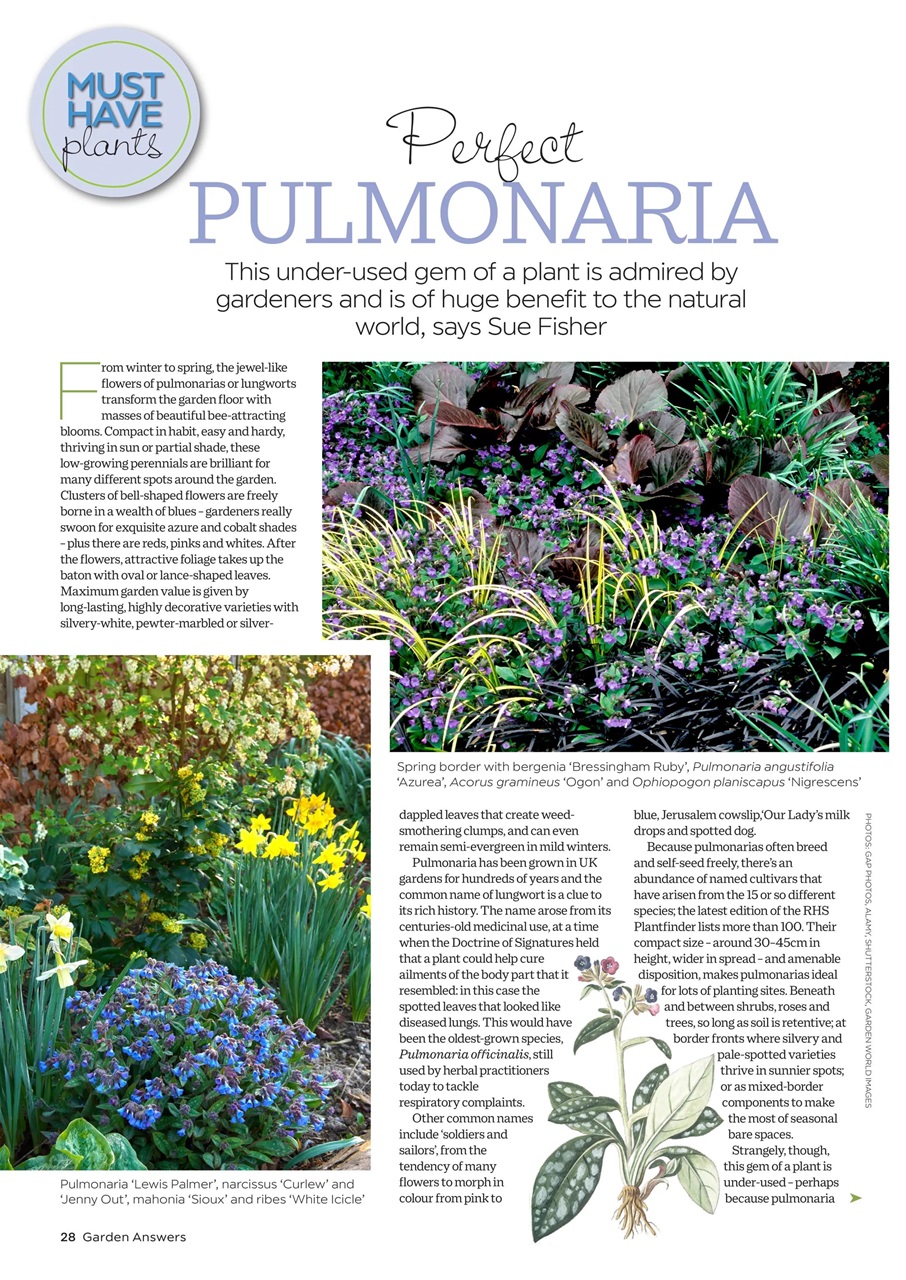 Garden Answers Preview Pages