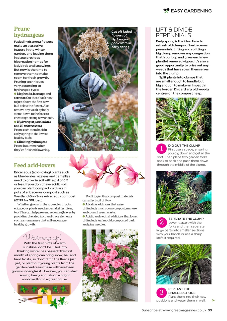 Garden Answers Preview Pages