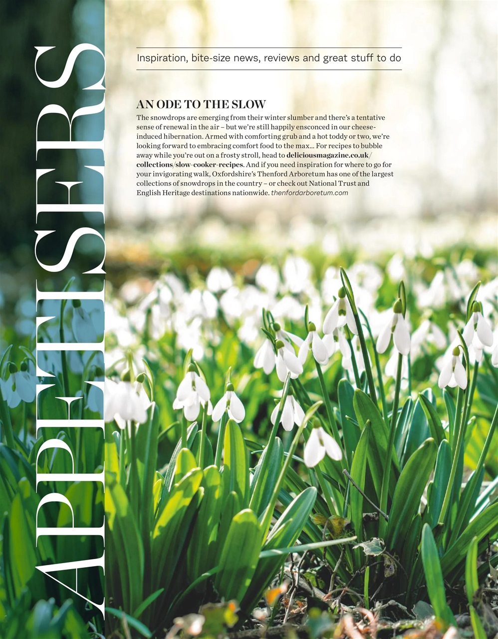 delicious. Magazine Preview Pages