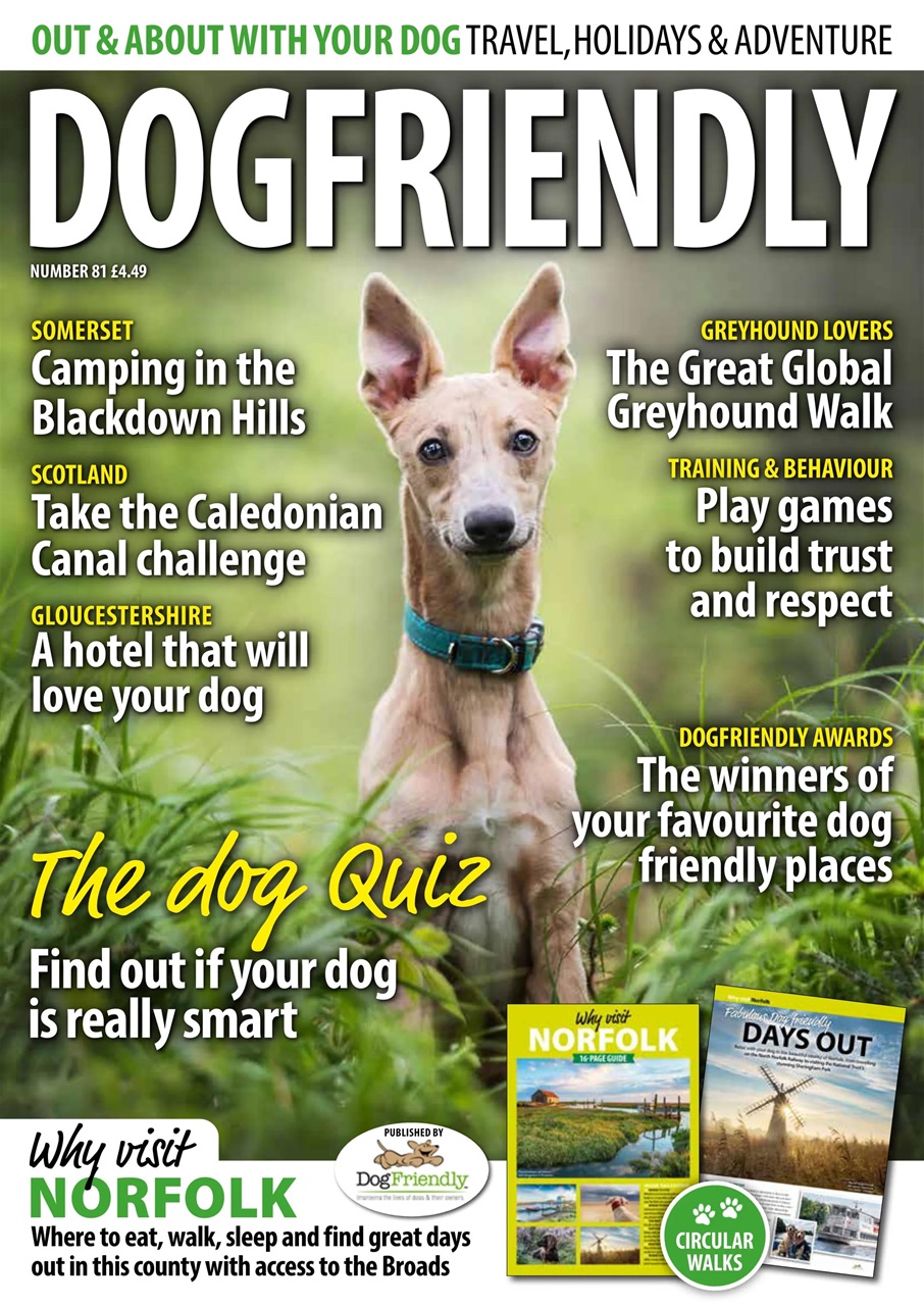 Dog Friendly Preview Pages