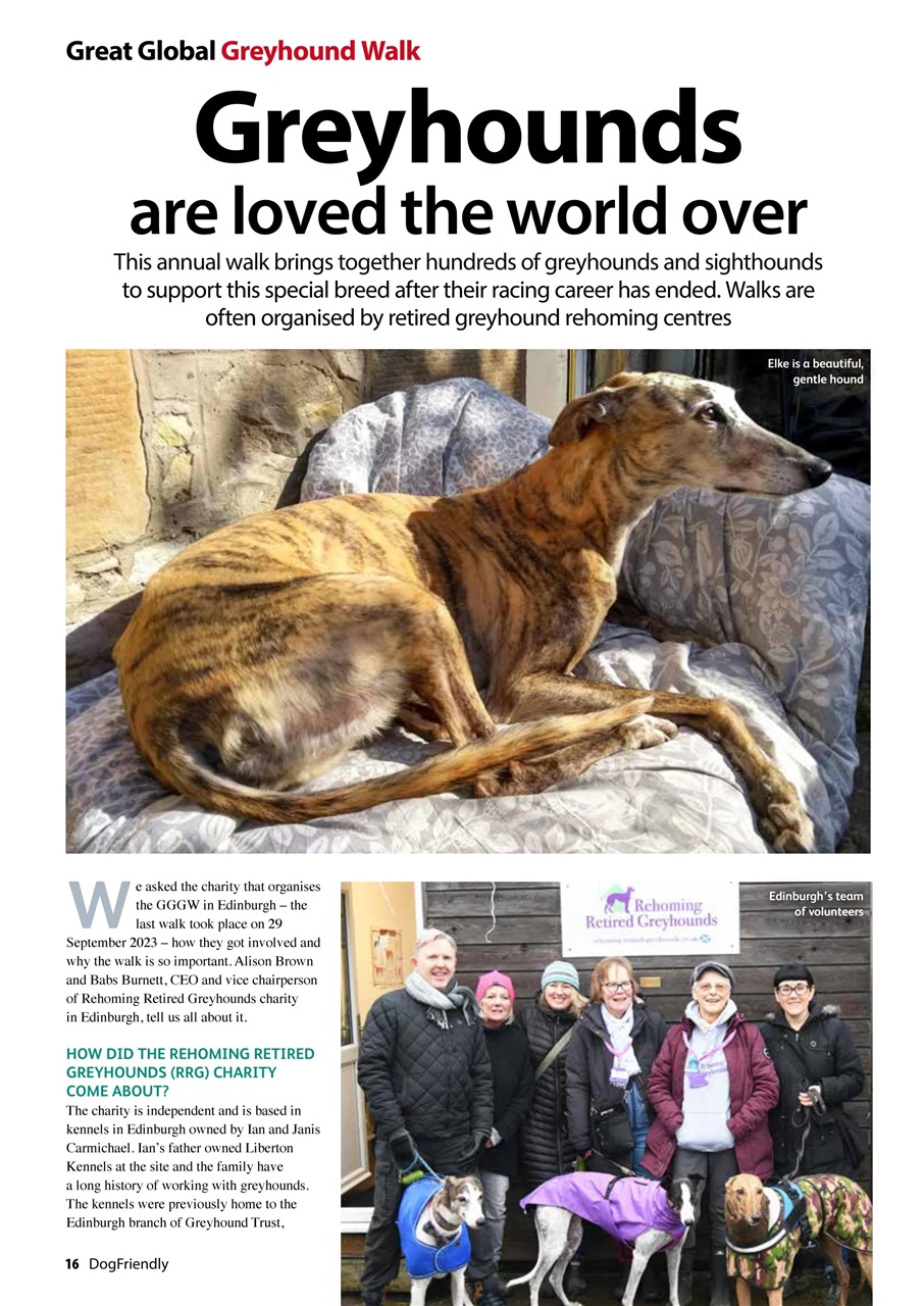 Dog Friendly Preview Pages