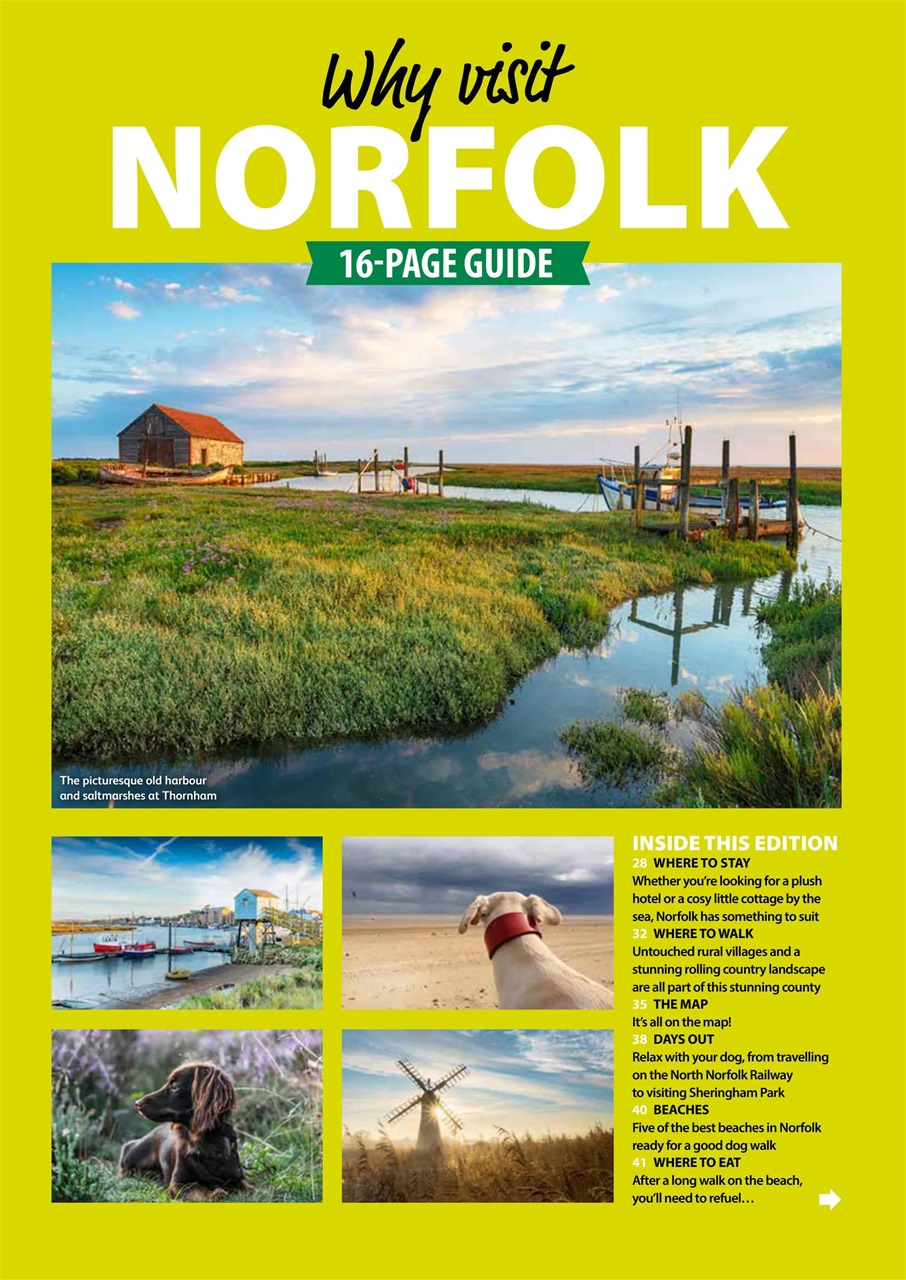 Dog Friendly Preview Pages