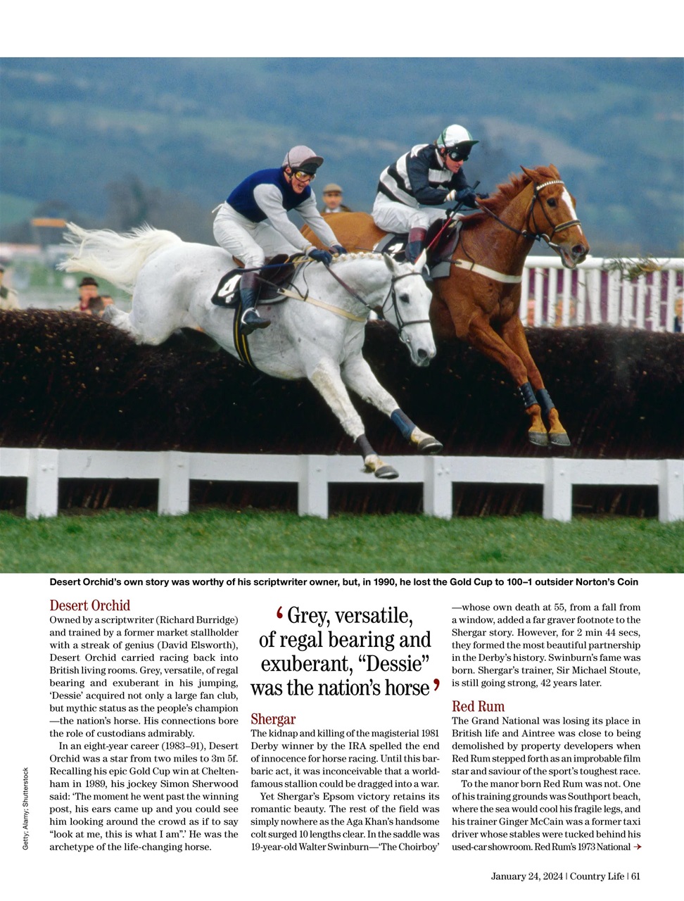 Country Life Preview Pages