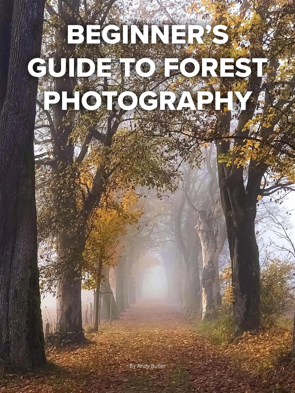 Mobiography Preview Pages