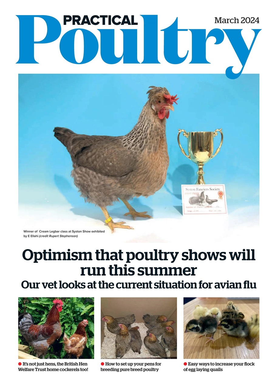 The Country Smallholder Preview Pages