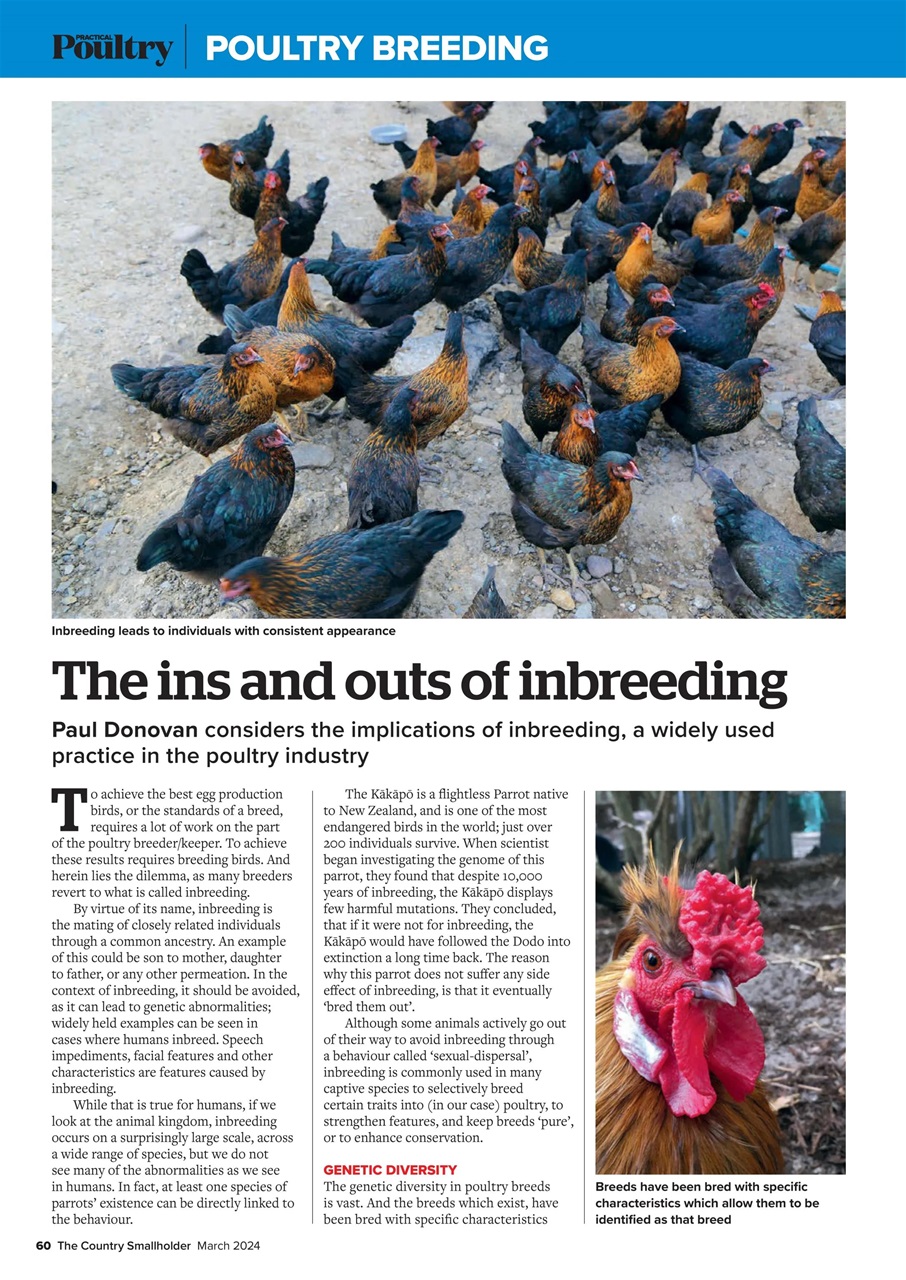 The Country Smallholder Preview Pages