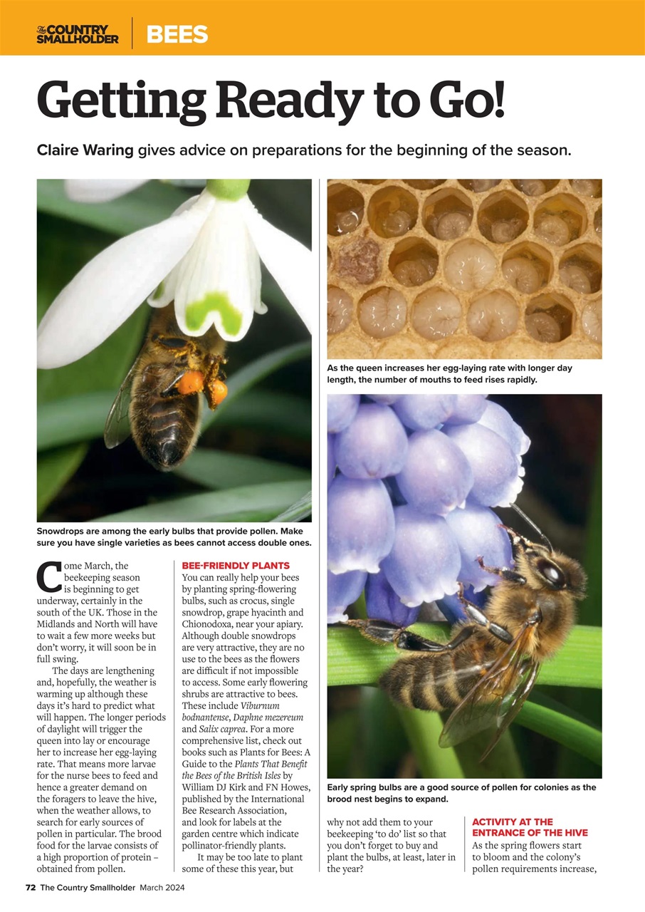 The Country Smallholder Preview Pages