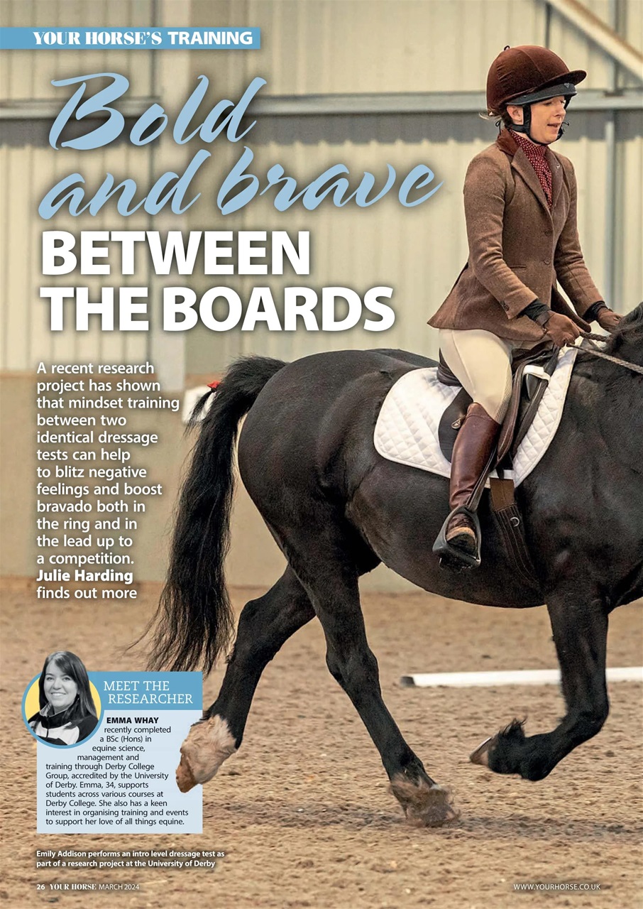Your Horse Preview Pages