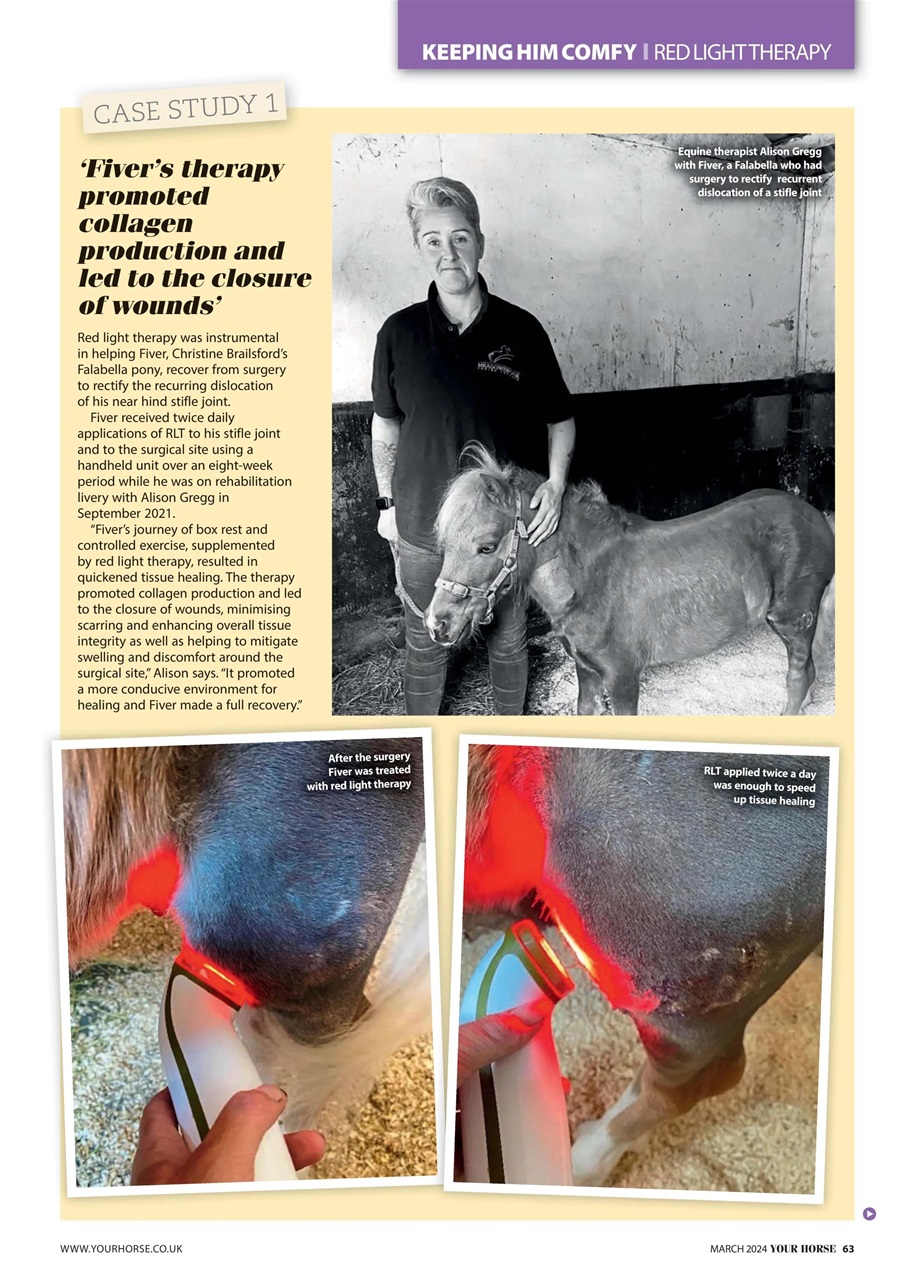 Your Horse Preview Pages