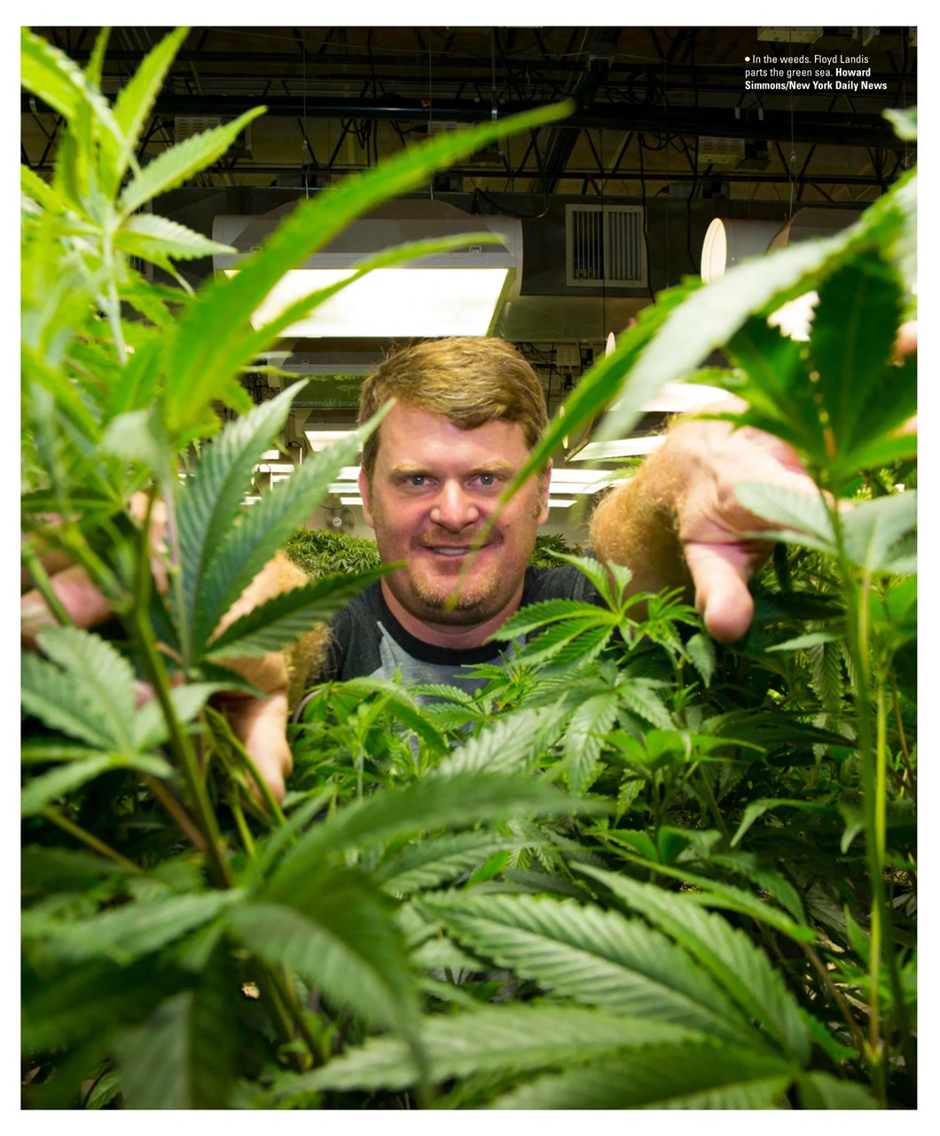 Mountain Flyer Preview Pages