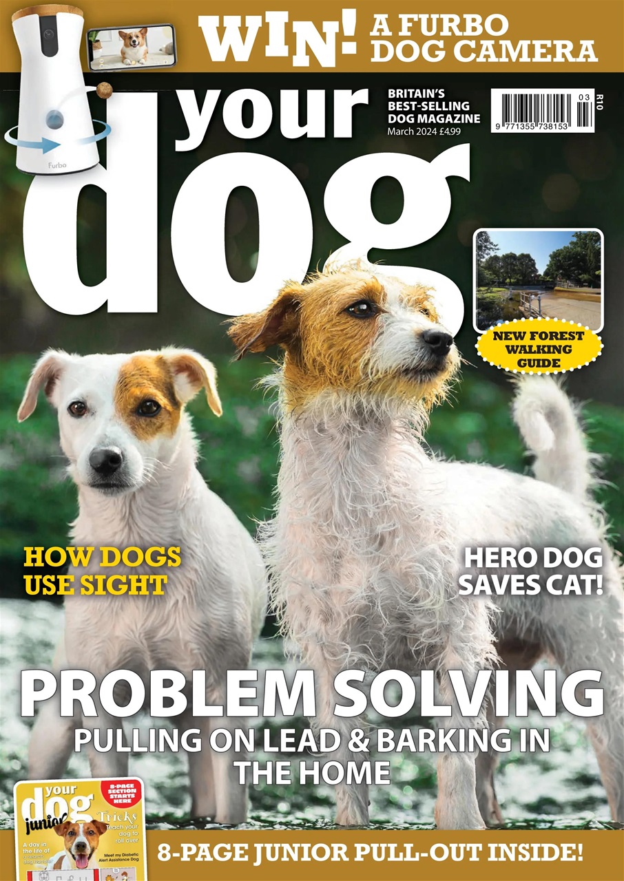 Your Dog Preview Pages