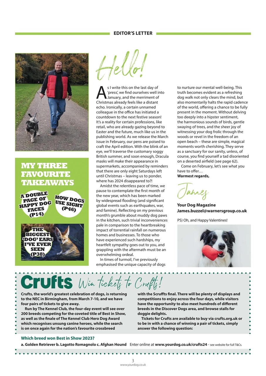 Your Dog Preview Pages