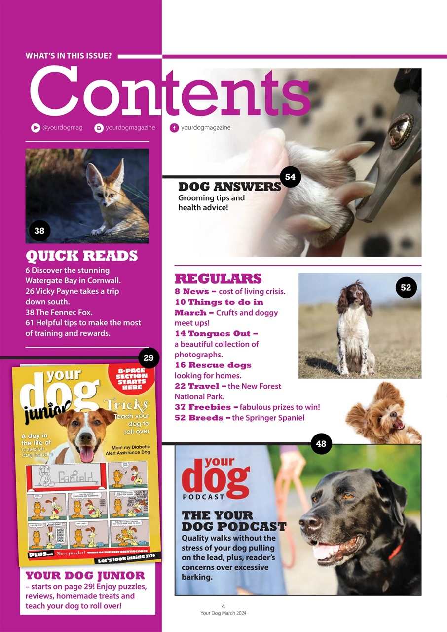 Your Dog Preview Pages