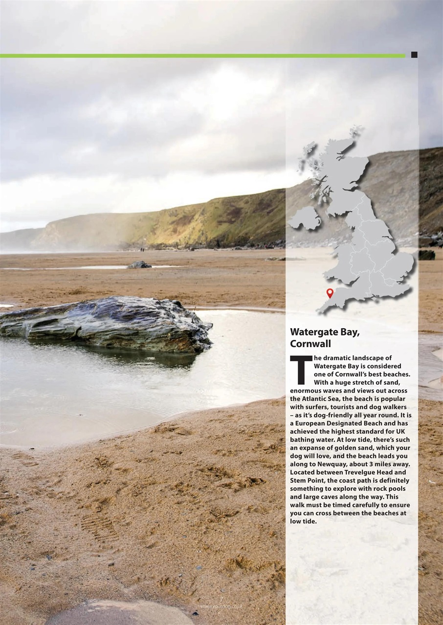 Your Dog Preview Pages