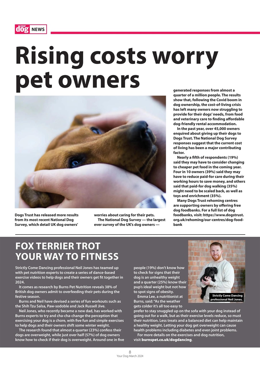 Your Dog Preview Pages