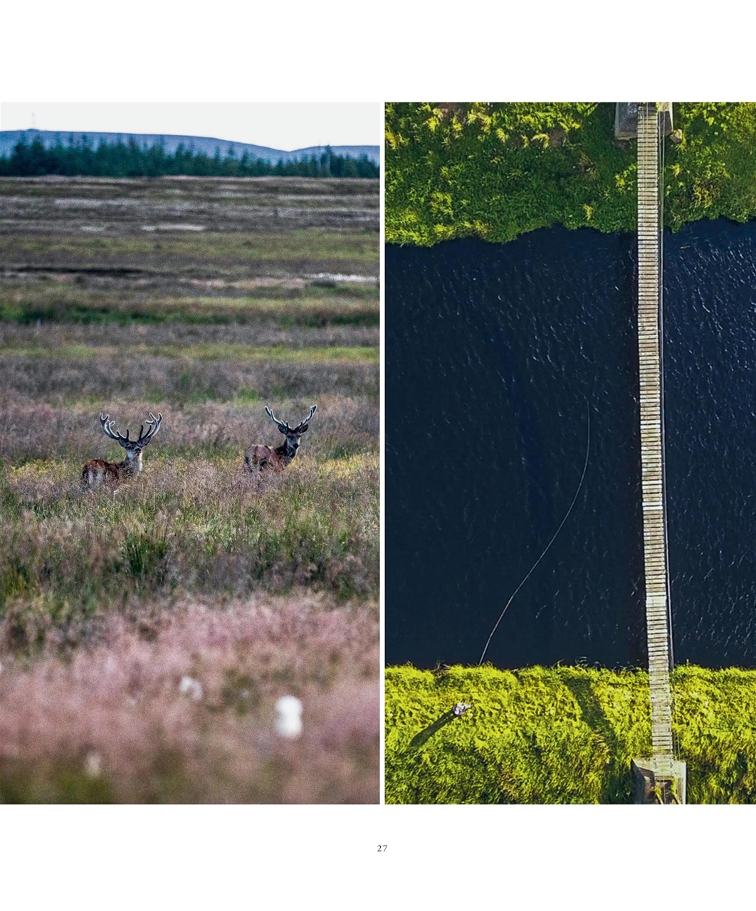 Fieldsports Journal Preview Pages