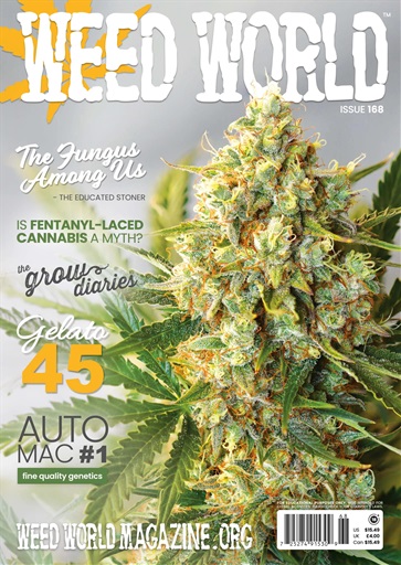 Weed World issue 