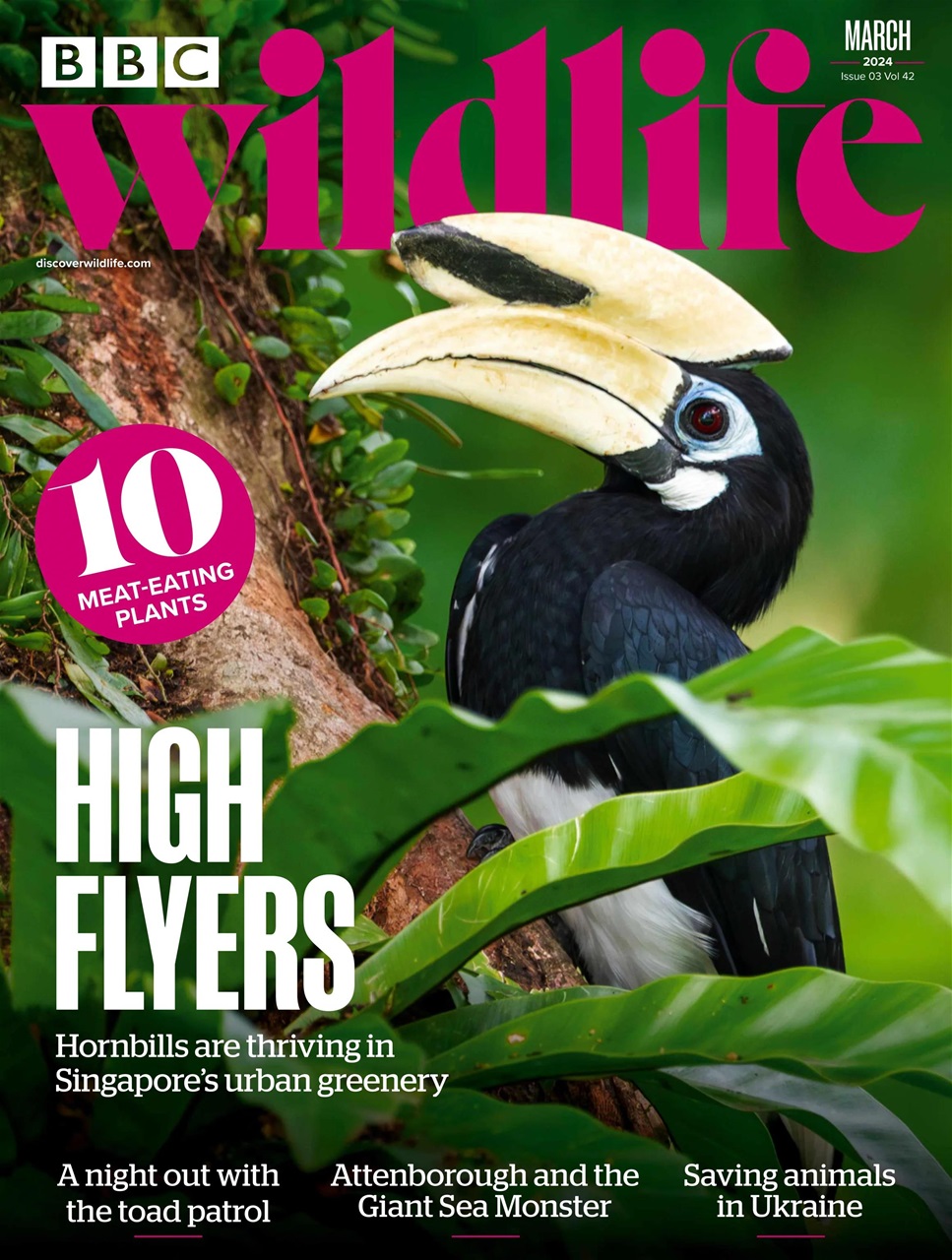 BBC Wildlife Magazine Preview Pages