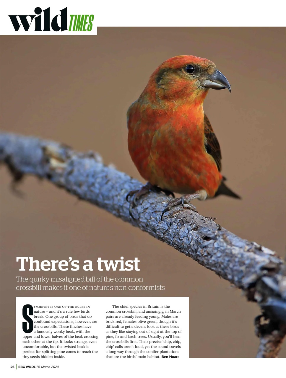 BBC Wildlife Magazine Preview Pages