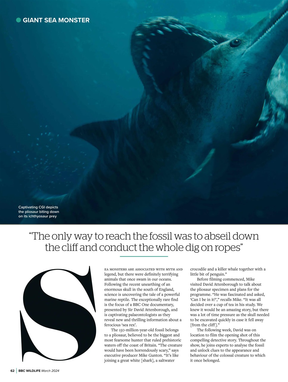 BBC Wildlife Magazine Preview Pages