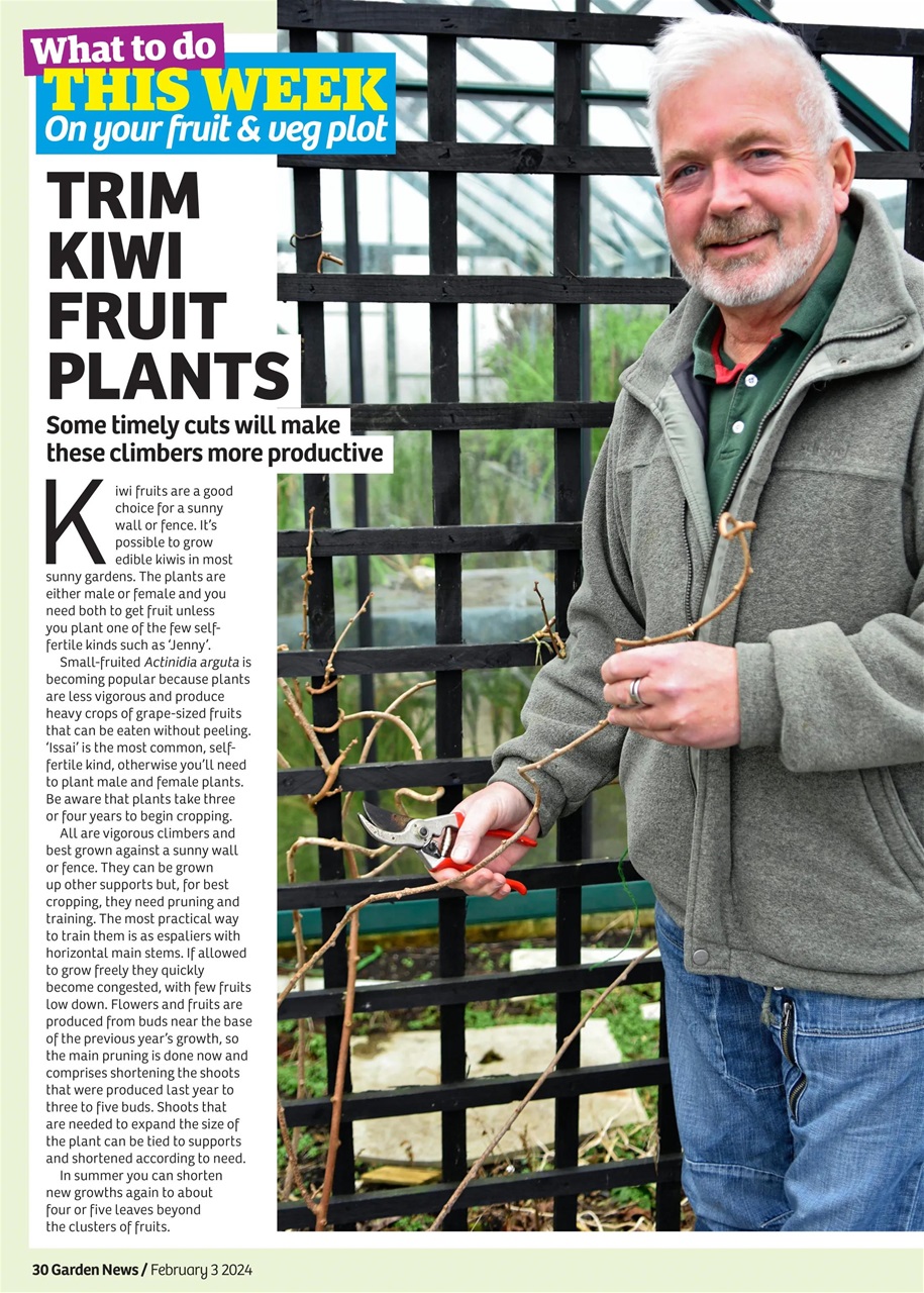 Garden News Preview Pages