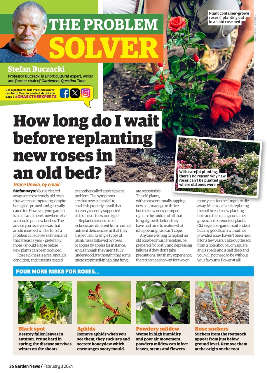 Garden News Preview Pages