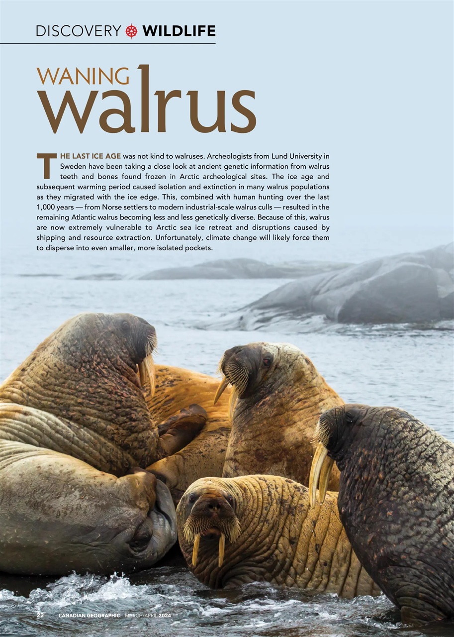 Canadian Geographic Preview Pages