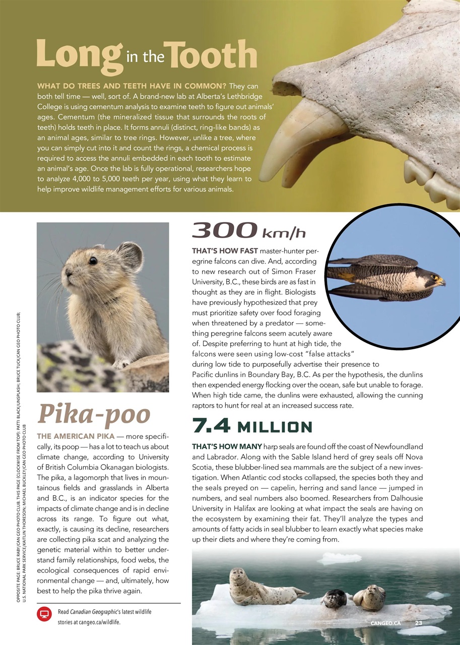 Canadian Geographic Preview Pages